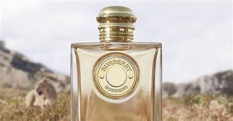 Burberry Lança Uma Nova Fragrância: Goddess.